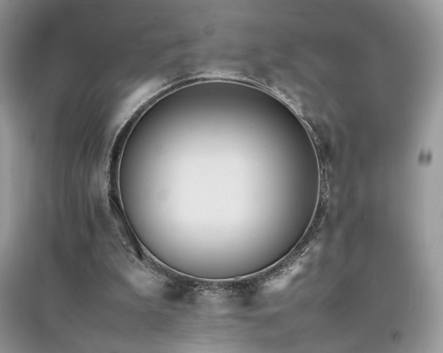 X0000094970199200711291511