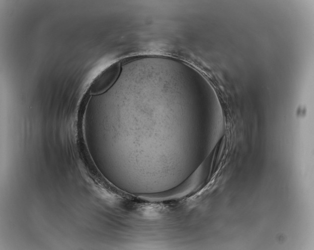X0000094970200200711291511