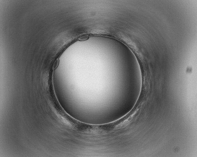 X0000094970201200711291511