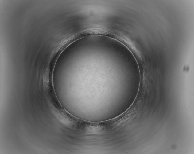 X0000094970202200711291511