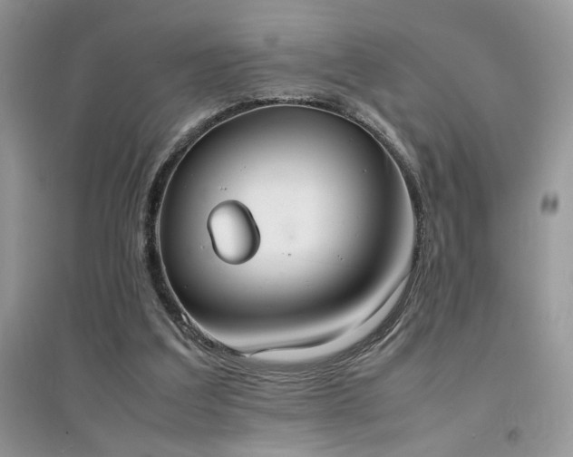 X0000094970203200711291511