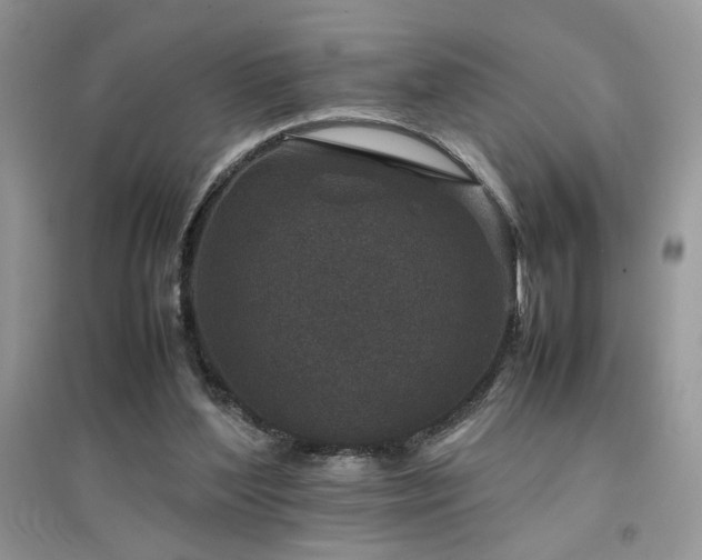 X0000094970204200711291511