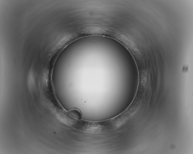 X0000094970206200711291511