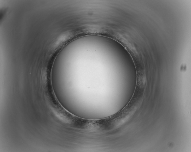X0000094970207200711291511
