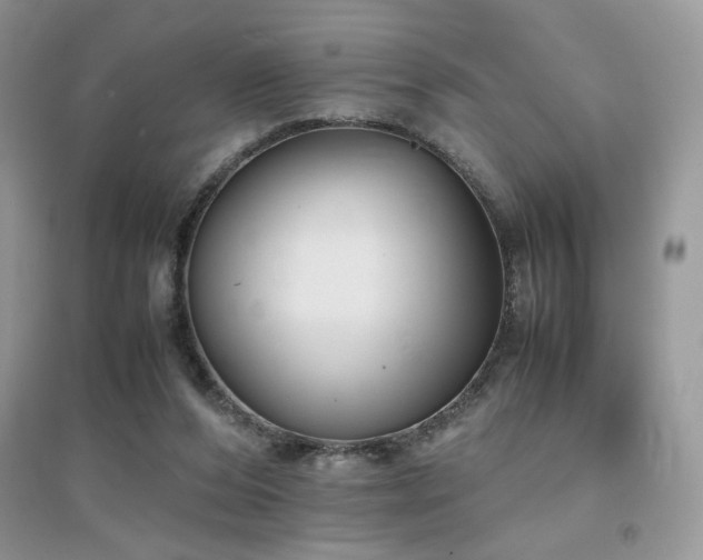 X0000094970208200711291511