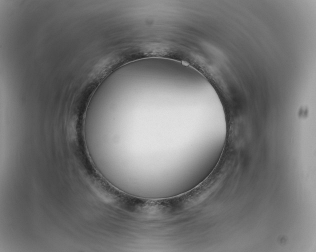 X0000094970209200711291511