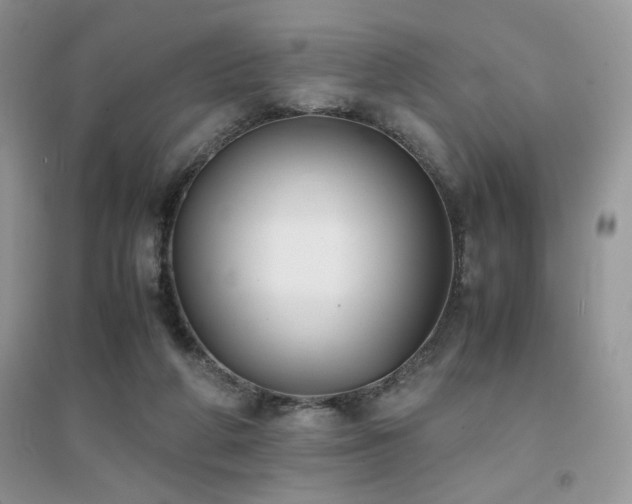 X0000094970210200711291511