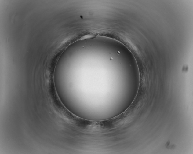 X0000094970211200711291511