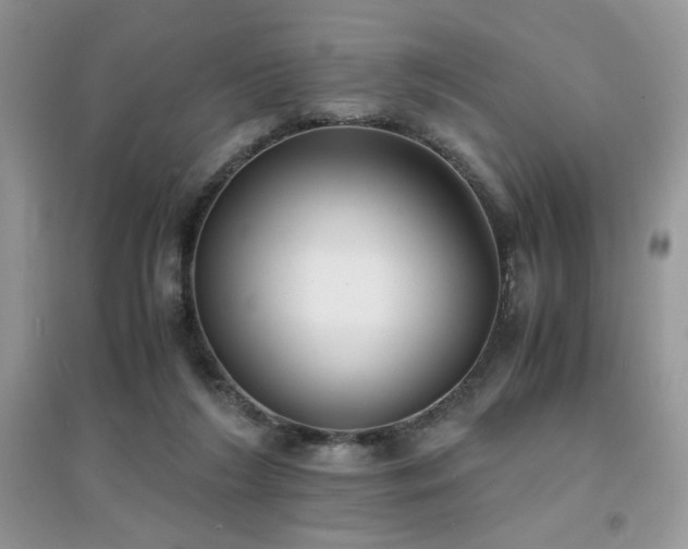 X0000094970212200711291511