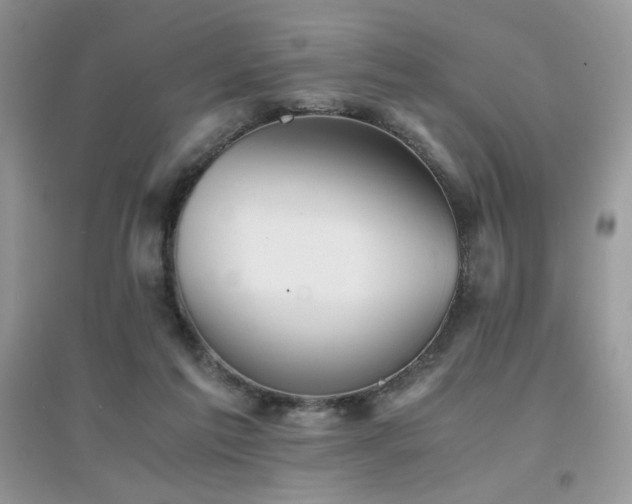 X0000094970213200711291511
