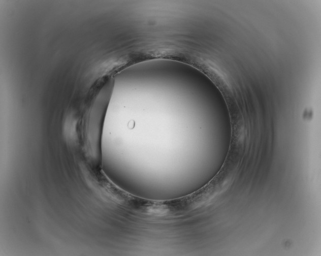 X0000094970214200711291511