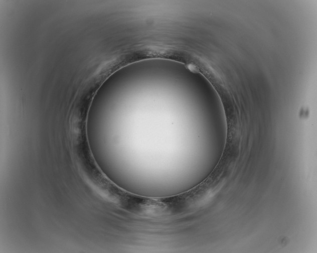 X0000094970215200711291511