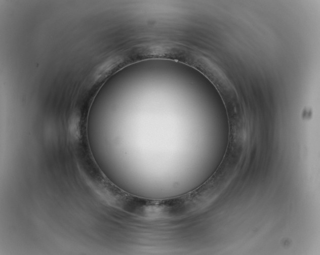 X0000094970216200711291511
