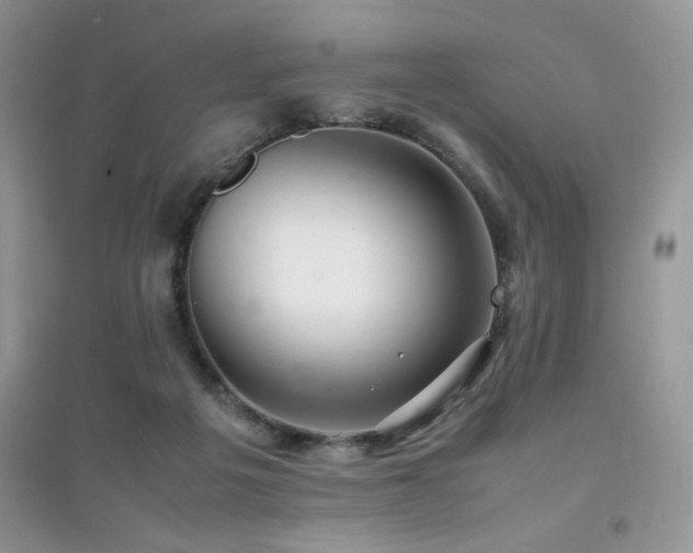 X0000094970217200711291511