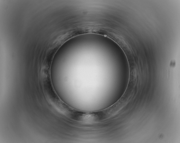 X0000094970218200711291511