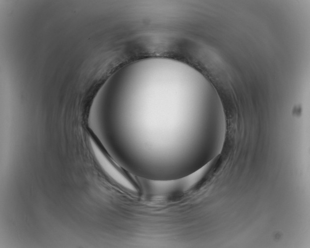 X0000094970221200711291511