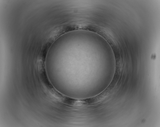 X0000094970222200711291511