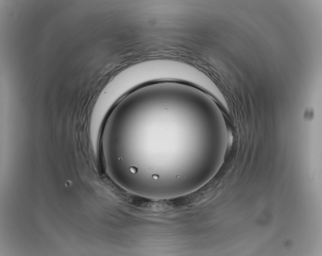X0000094970223200711291511