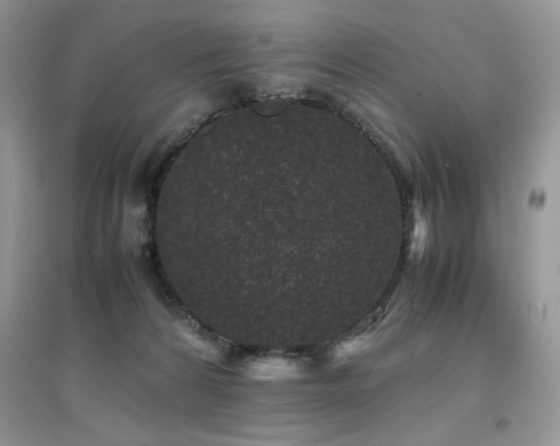 X0000094970224200711291511