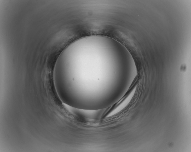 X0000094970225200711291511