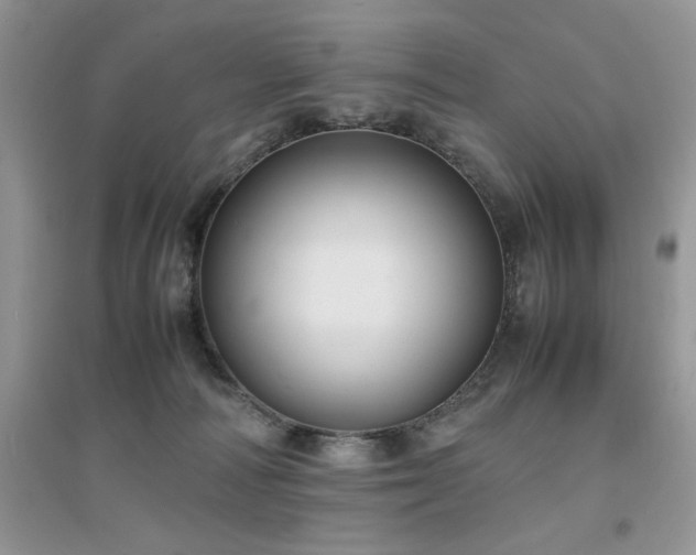 X0000094970226200711291511