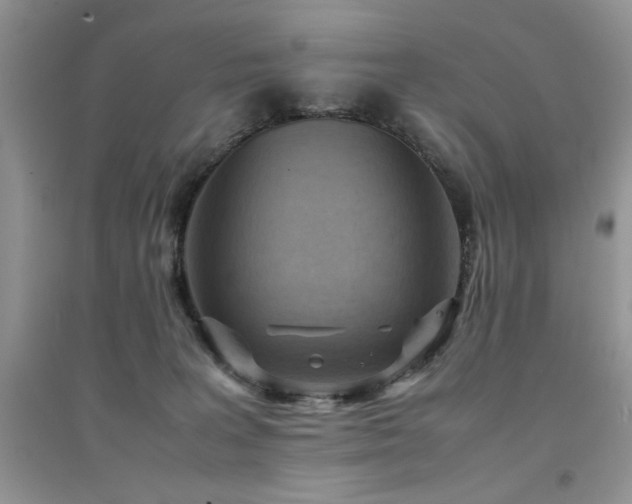 X0000094970227200711291511