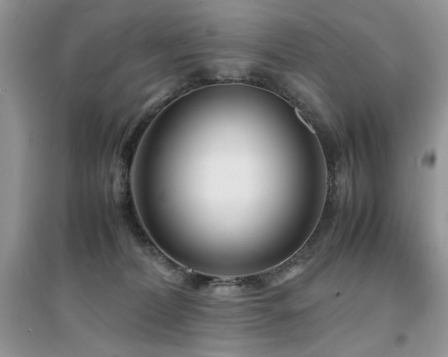 X0000094970228200711291511