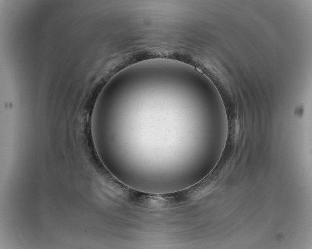 X0000094970229200711291511
