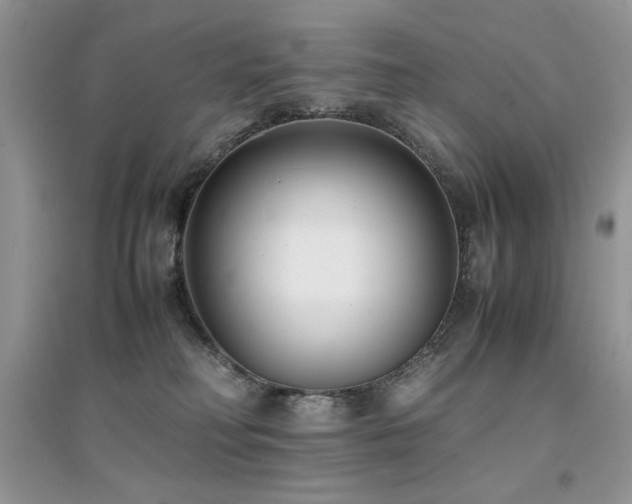 X0000094970230200711291511