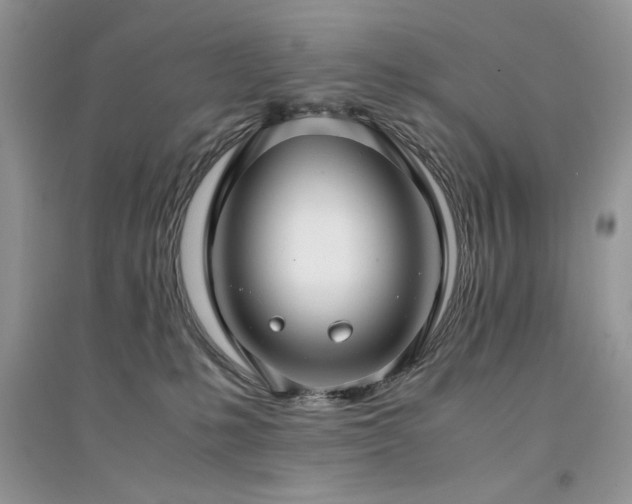 X0000094970231200711291511