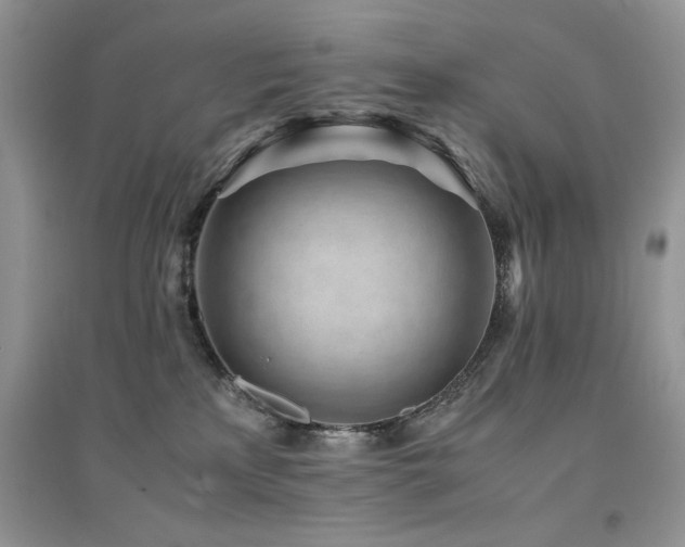 X0000094970233200711291511