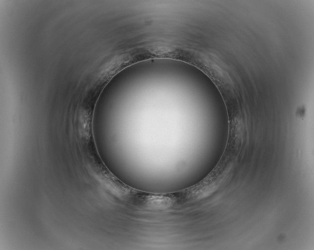 X0000094970234200711291511
