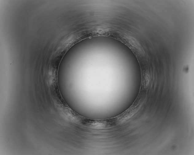 X0000094970236200711291511