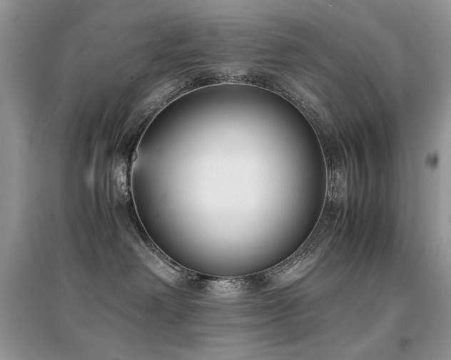 X0000094970238200711291511