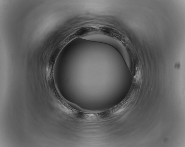 X0000094970239200711291511