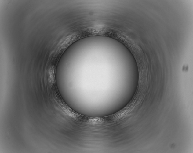 X0000094970240200711291511