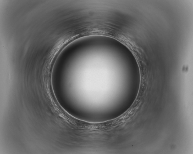 X0000094970241200711291510