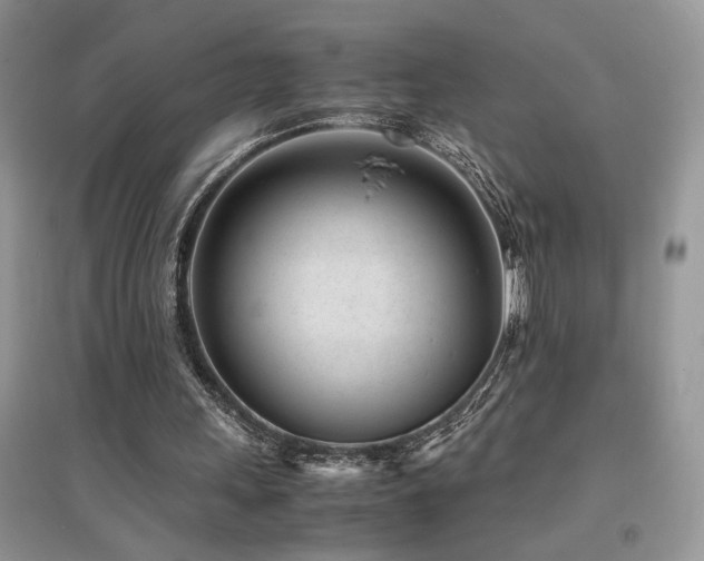 X0000094970243200711291510