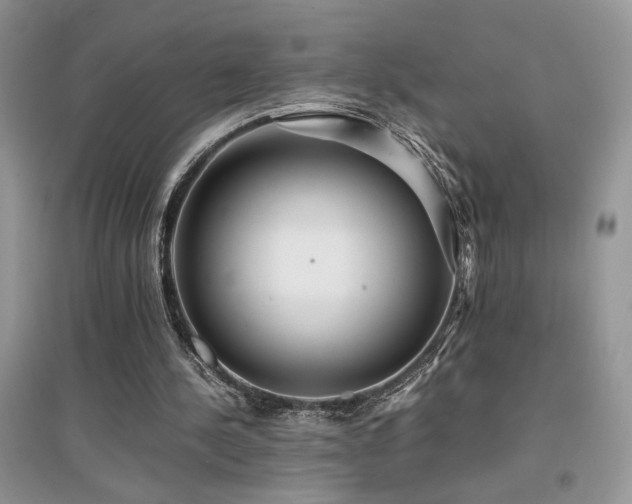 X0000094970244200711291510