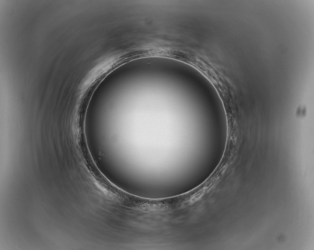 X0000094970245200711291510