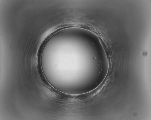 X0000094970246200711291510