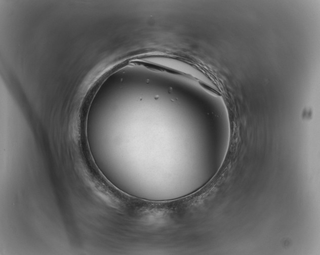 X0000094970247200711291510