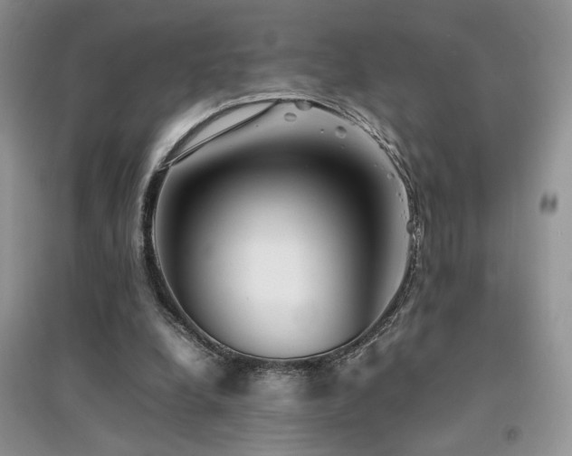 X0000094970248200711291510