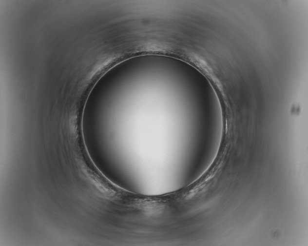 X0000094970249200711291510
