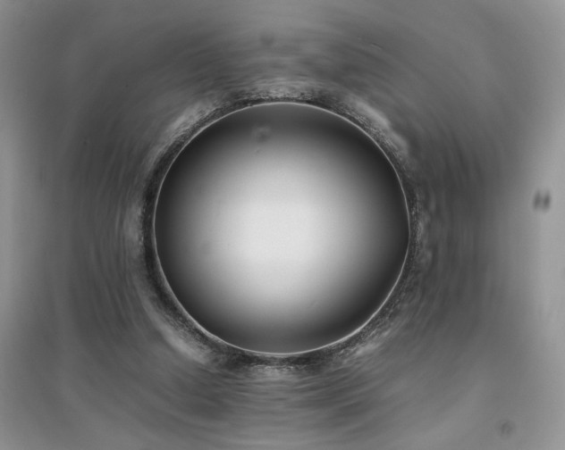 X0000094970250200711291510