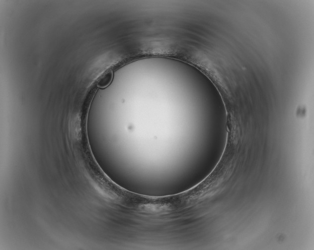 X0000094970251200711291510