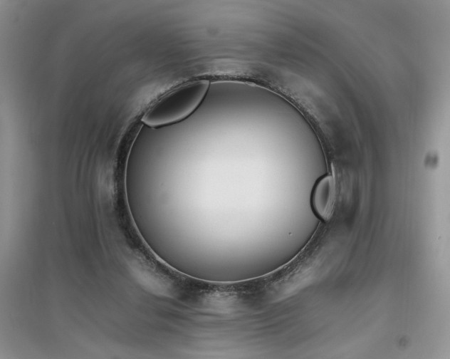 X0000094970252200711291510