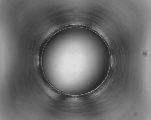 X0000094970253200711291510