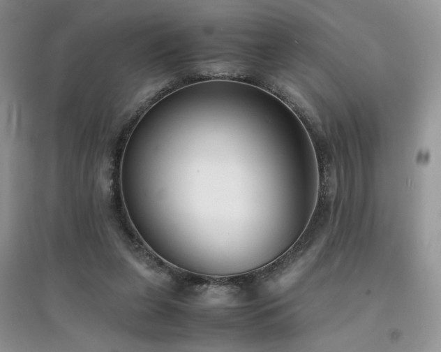 X0000094970255200711291510