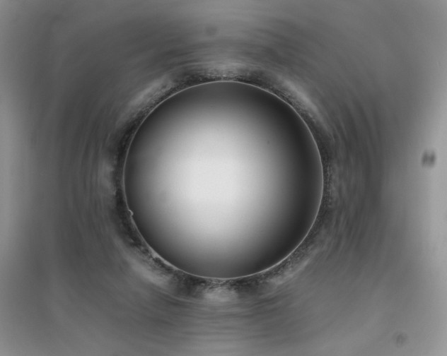 X0000094970258200711291510